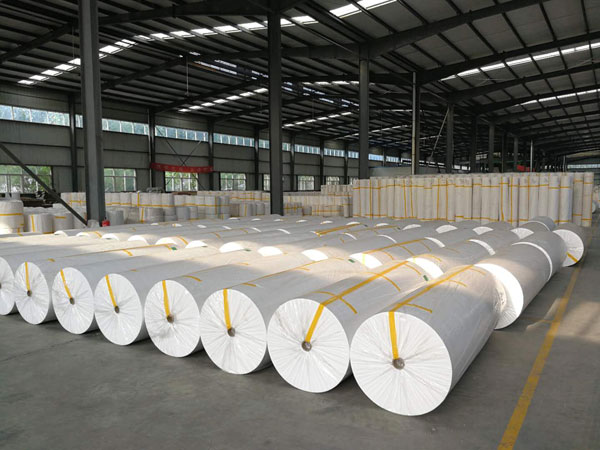 临沧狭缝式涤纶纺粘无纺布